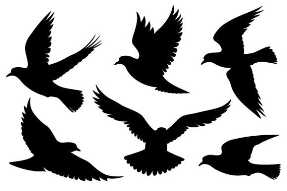 Download Flying Bird SVG, Bird Silhouette - Bird svg Collection