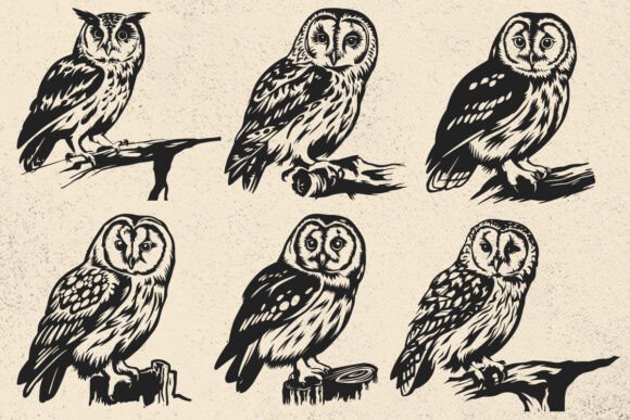 Download Tawny Owl SVG File for Cricut, Bird Svg - Premium Resources